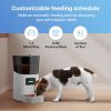 Automatic Cat Feeder with WiFi App Control, 6L Capacity, Programmable Timer & Voice Recording