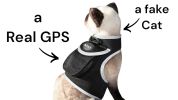 Receive Exact Pet Location w/ Pet Tracker GPS Tracking Dog Collar Tracker Size:S