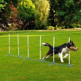 Dog Outdoor Exercise Training Set ( Amazon Shipping)(Prohibited by WalMart) (Option: default title)